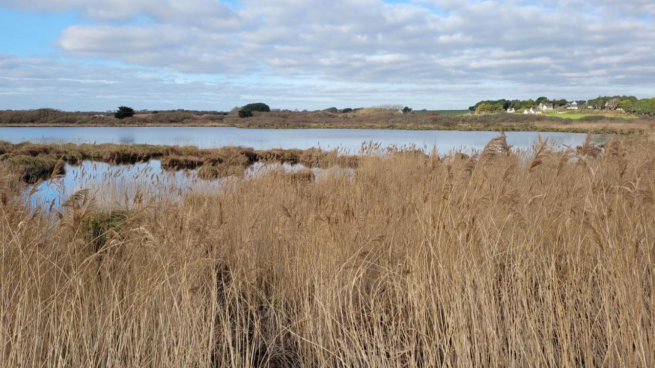 T3 “Groix“- 50 M De La Plage De Fort Bloque/Ploemeur Eksteriør bilde